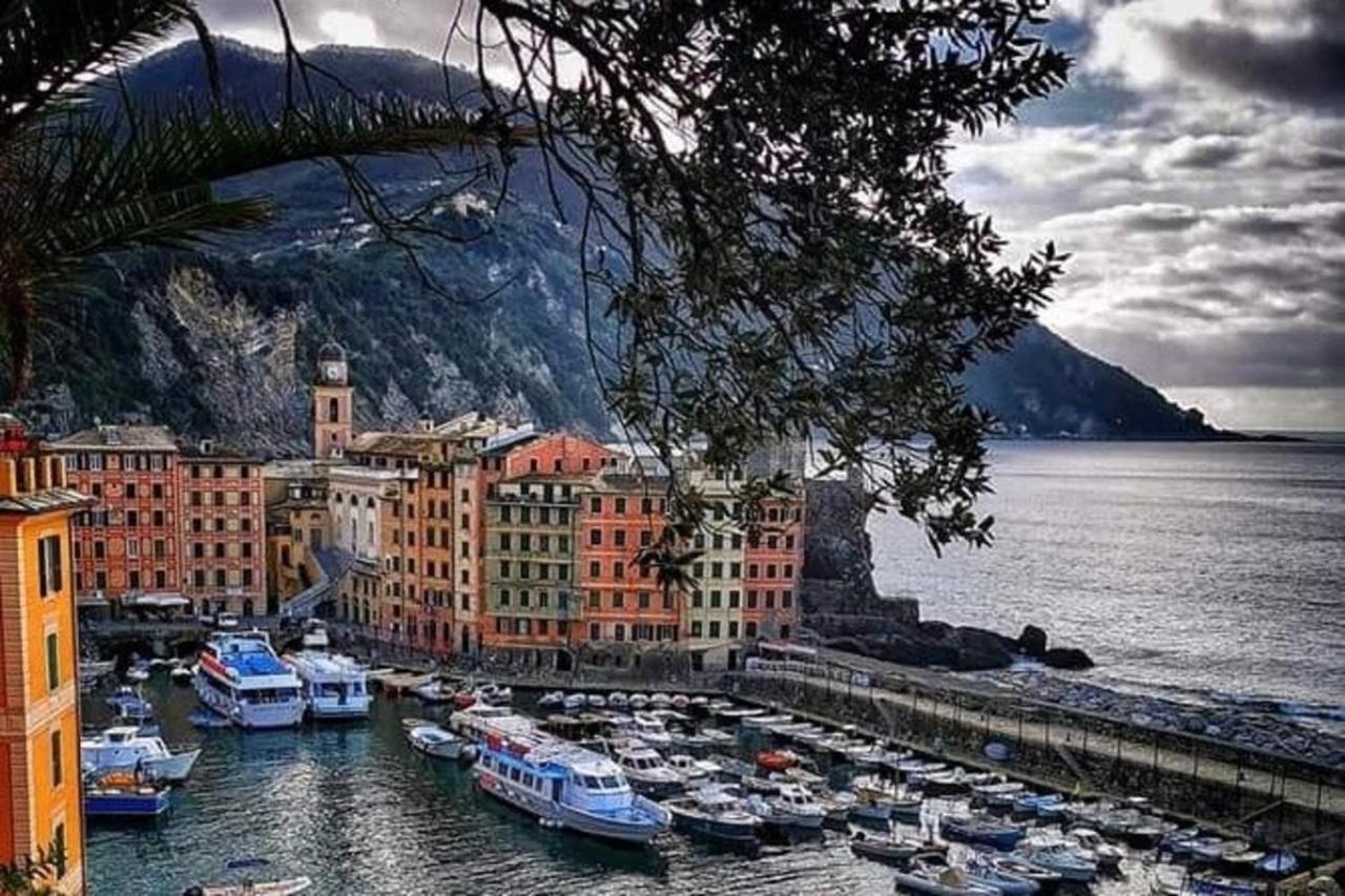 Rosablu Vacanza Tra Mare E Parco Di Portofino カモーリ エクステリア 写真