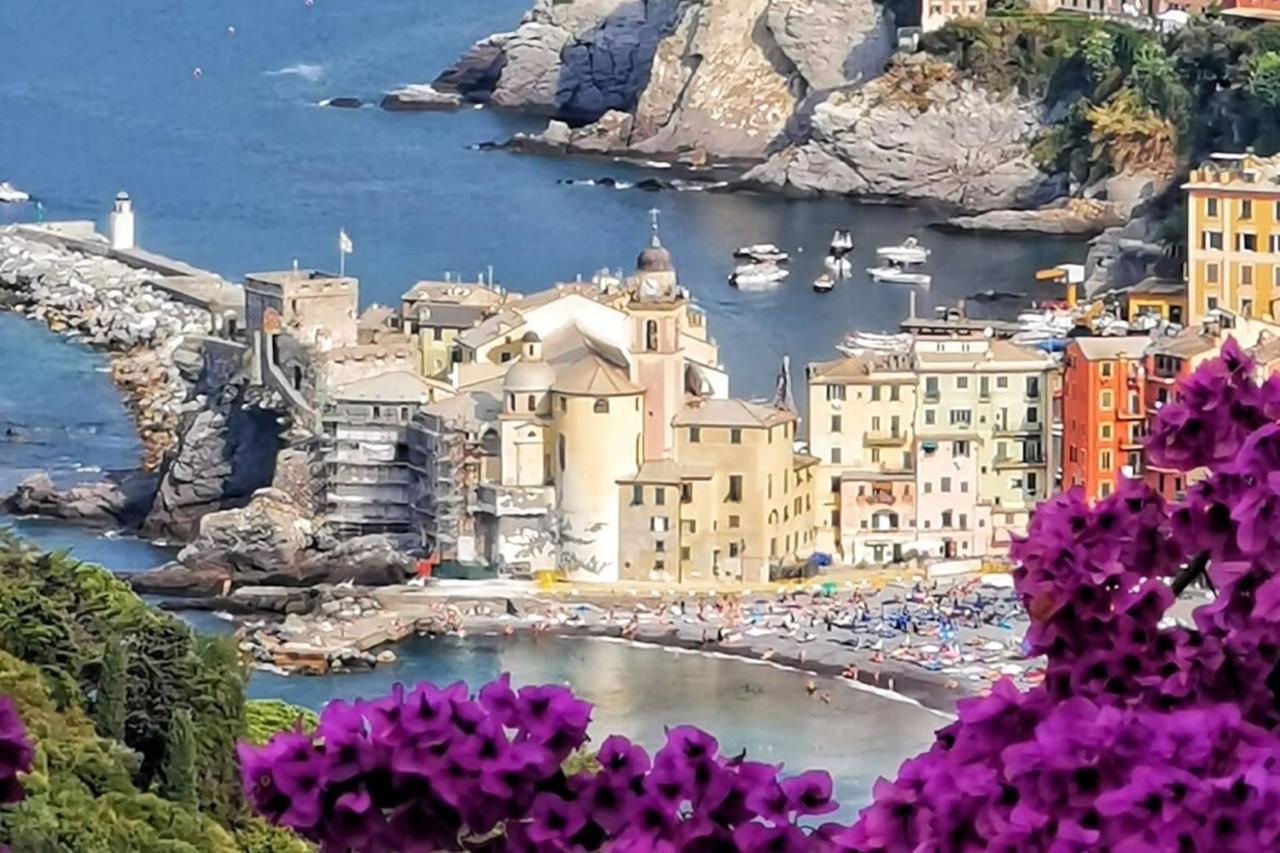 Rosablu Vacanza Tra Mare E Parco Di Portofino カモーリ エクステリア 写真