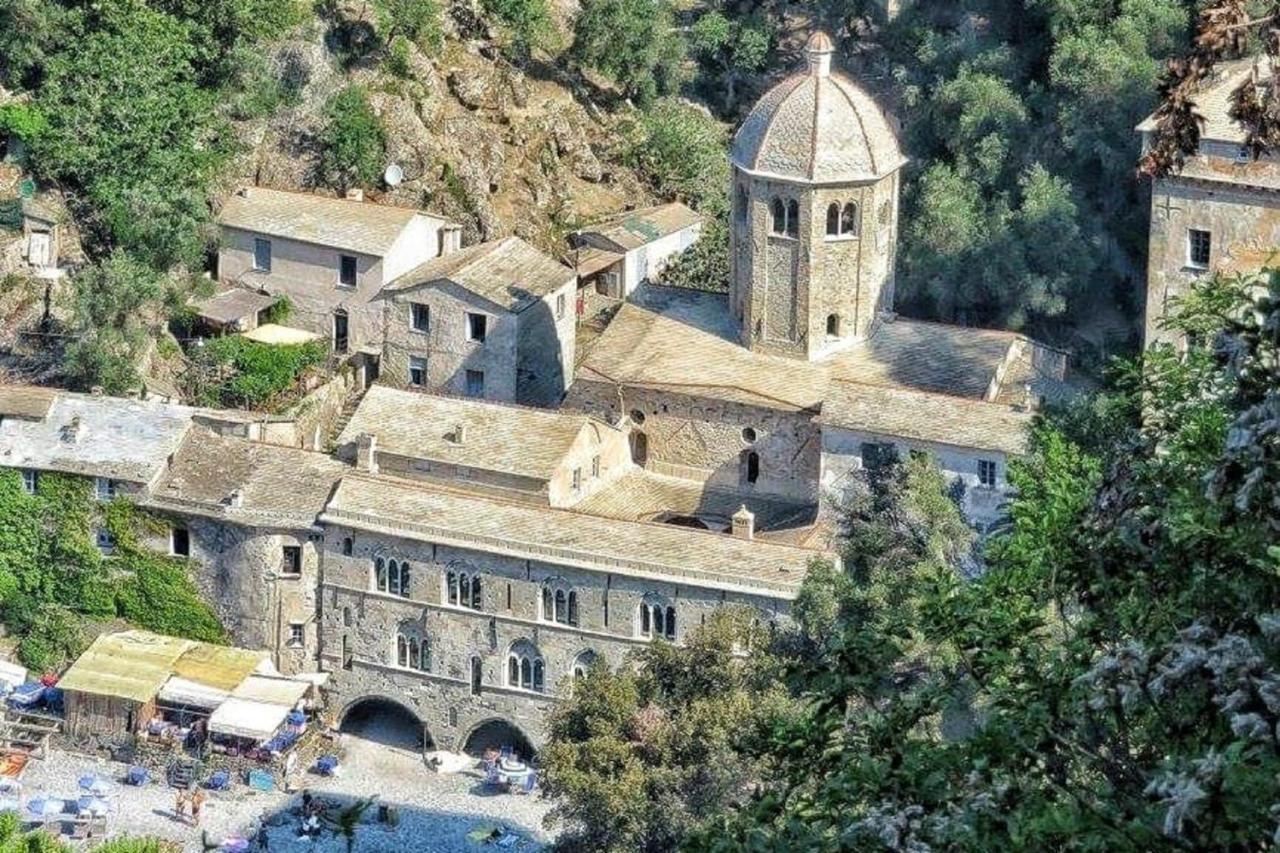 Rosablu Vacanza Tra Mare E Parco Di Portofino カモーリ エクステリア 写真